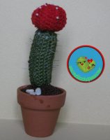 Cactus2