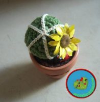 Cactus3