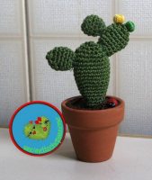 Cactus5