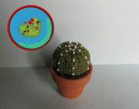 Cactus6