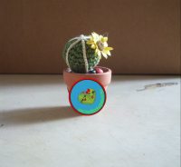 Cactus8