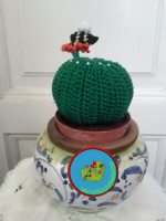 Cactus9